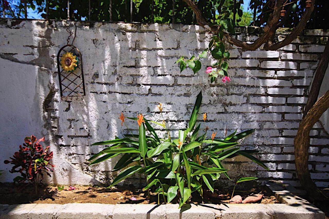 Casita Piedra Apartment Puerto Escondido  Exterior foto